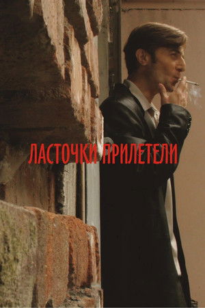 Swallows Have Arrived Swallows Have Arrived