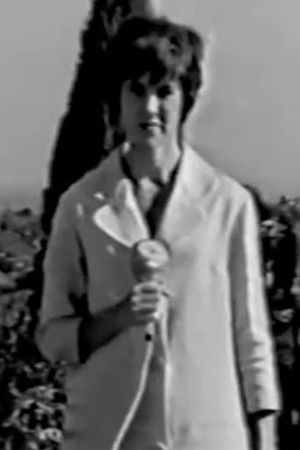 Love Is Love: Lesbians Love Is Love: Lesbians