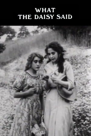 What the Daisy Said What the Daisy Said