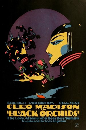 Black Orchids Black Orchids