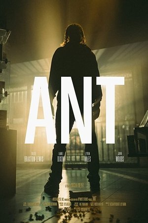 Ant Ant