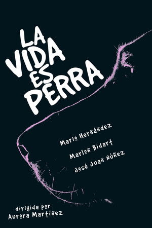 Life's a Bitch Life's a Bitch