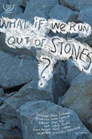 What If We Run Out of Stones? What If We Run Out of Stones?