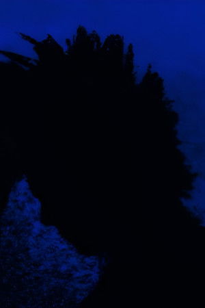 Angel of the Night Angel of the Night