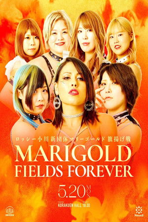Marigold Fields Forever Marigold Fields Forever