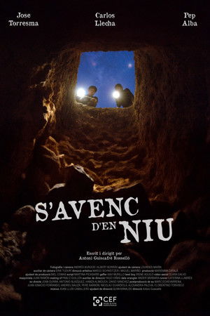 S'Avenc d'en Niu