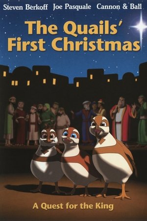 Quails Quest: Its a Boy! Quails Quest: Its a Boy!