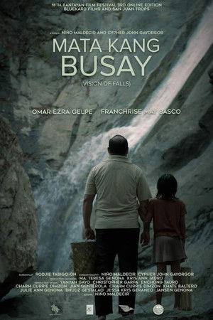 Vision of the Falls Vision of the Falls