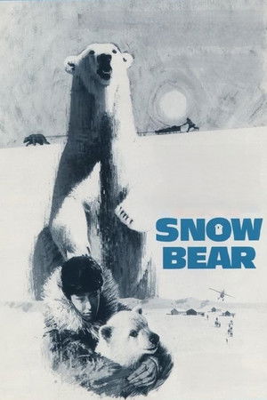 Snow Bear Snow Bear