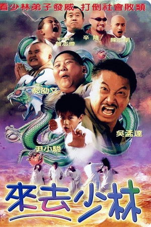 来去少林