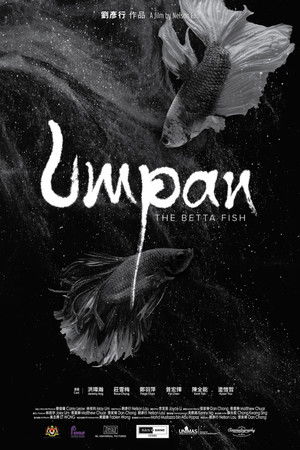 Umpan: The Betta Fish Umpan: The Betta Fish