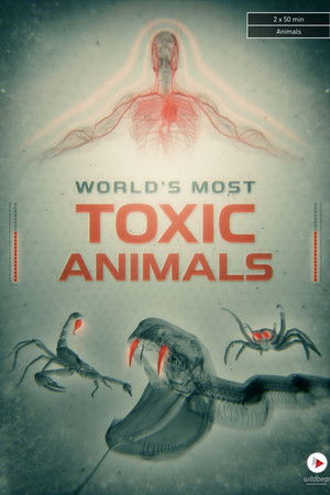 World's Most Toxic Animals World's Most Toxic Animals