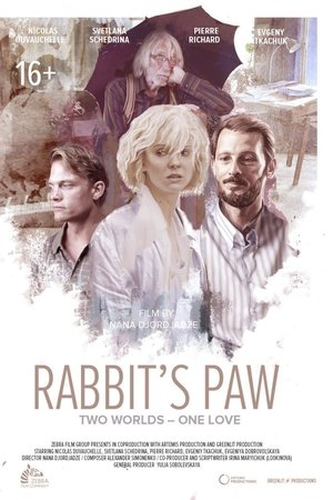 Rabbit's Paw Rabbit's Paw