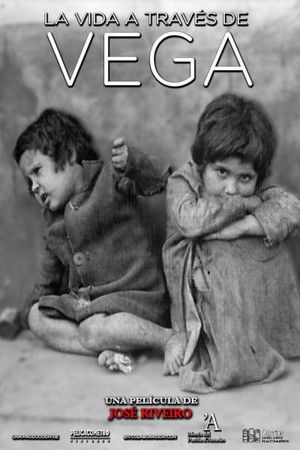 La vida a través de Vega La vida a través de Vega