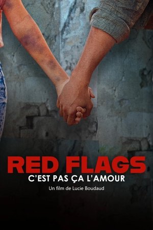 Red Flags – c’est pas ça l’amour Red Flags – c’est pas ça l’amour
