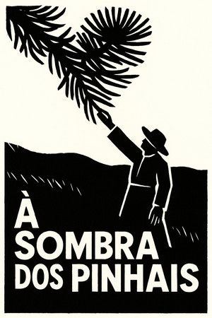À sombra dos pinhais À sombra dos pinhais