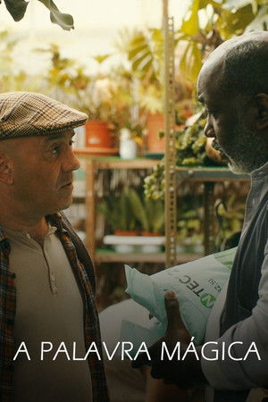 A Palavra Mágica A Palavra Mágica