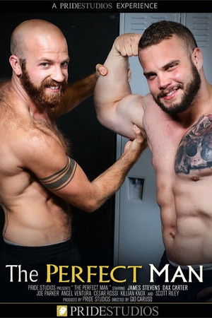 The Perfect Man The Perfect Man