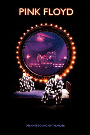 Pink Floyd: Delicate Sound of Thunder Pink Floyd: Delicate Sound of Thunder