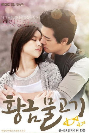 Golden Fish Golden Fish