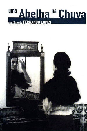 A Bee in the Rain A Bee in the Rain