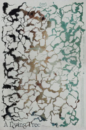 A Dying Tree A Dying Tree