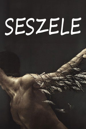 Seychelles Seychelles