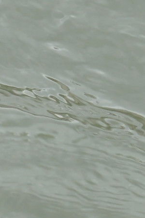 entre les vagues (un hommage) entre les vagues (un hommage)