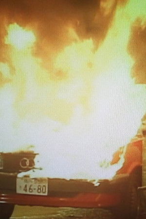 おとり捜査官・北見志穂Ⅱ おとり捜査官・北見志穂Ⅱ