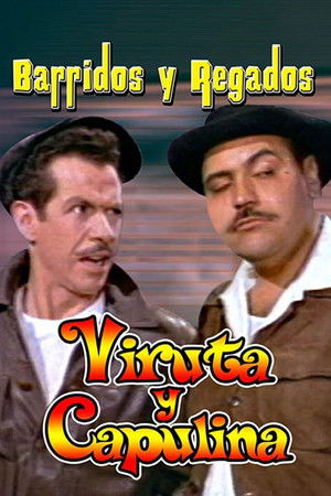 Barridos y regados Barridos y regados