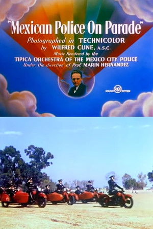 Mexican Police on Parade Mexican Police on Parade