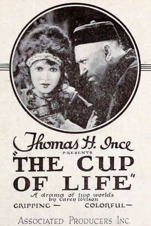 The Cup of Life The Cup of Life