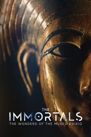 The Immortals: The Wonder of the Museo Egizio The Immortals: The Wonder of the Museo Egizio