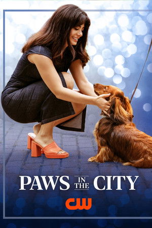 Paws in the City Paws in the City