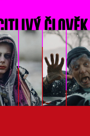 A Sensitive Person A Sensitive Person