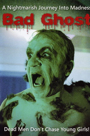 Bad Ghost Bad Ghost