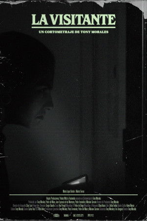 La visitante La visitante