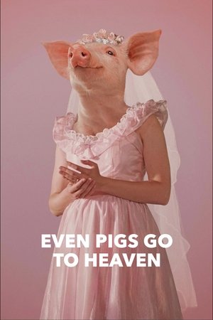 Even Pigs Go to Heaven Even Pigs Go to Heaven