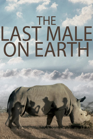 The Last Male on Earth The Last Male on Earth