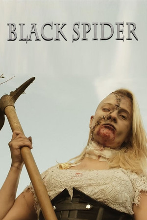 Black Spider Black Spider