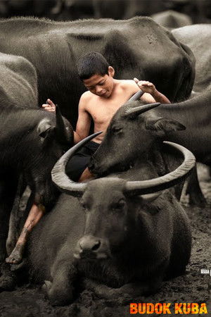 Budok Kuba Budok Kuba