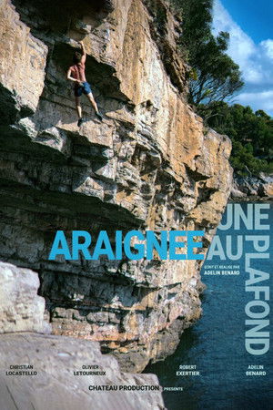 Une Araignée au Plafond Une Araignée au Plafond