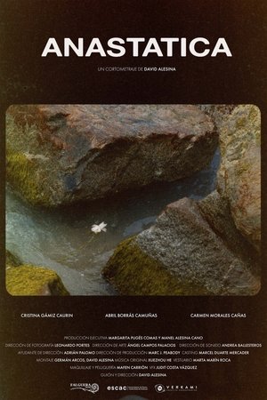 Anastatica Anastatica