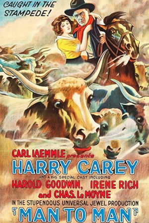 Man to Man Man to Man