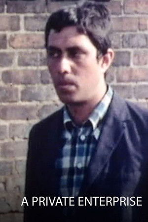 A Private Enterprise A Private Enterprise