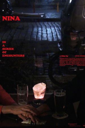 Nina in a Series of Encounters Nina in a Series of Encounters