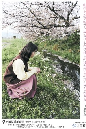 Odawara City, Where Poetries are Made Odawara City, Where Poetries are Made