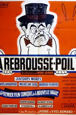 À rebrousse-poil À rebrousse-poil