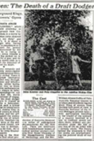 Windflowers Windflowers