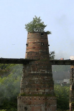 Above Us Only Sky Above Us Only Sky